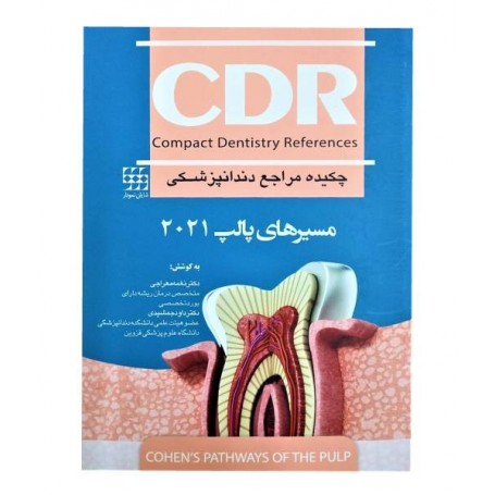 CDR مسیرهای پالپ 2021