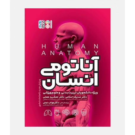 آناتومی انسان